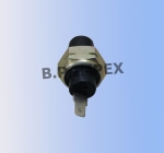 Oil Pressure Switch,284254509919